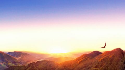 A dificuldade é um trampolim para o sucesso