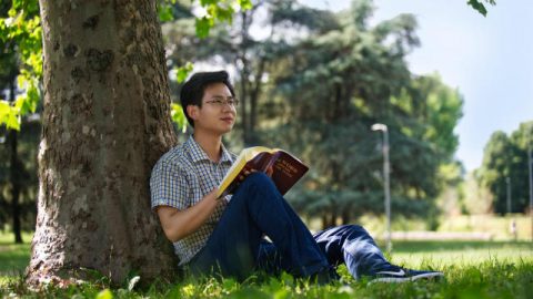 Um tipo diferente de amor