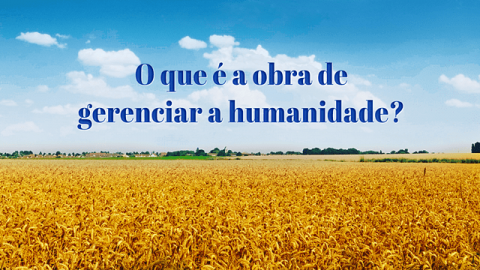 O que é a obra de gerenciar a humanidade?