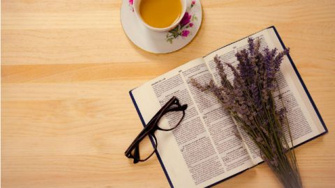 A Bíblia foi inspirada por Deus?