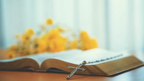 Estudo sobre salvação na Bíblia