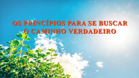 Os princípios para se buscar o caminho verdadeiro