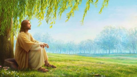 Por que o povo judeu não reconheceu o Senhor Jesus como o Messias profetizado?