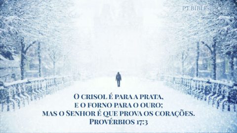 Versículos de Provação