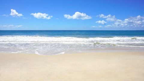 Gênesis 1:9: “E disse Deus: Ajuntem-se num só lugar as águas que estão debaixo do céu, e apareça o elemento seco”