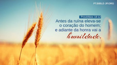 Antes da ruína eleva-se o coração do homem; e adiante da honra vai a humildade. (Provérbios 18:12)