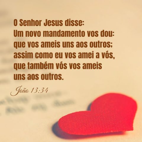 (João 13:34) O Senhor Jesus disse: “Um novo mandamento vos dou: que vos ameis uns aos outros; assim como eu vos amei a vós, que também vós vos ameis uns aos outros”.