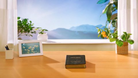 Bíblia Apocalipse 22:18-19