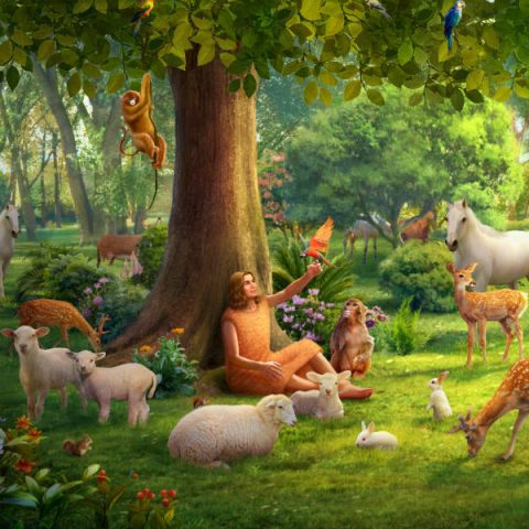 Leitura do Evangelho de hoje – Gênesis 2:15