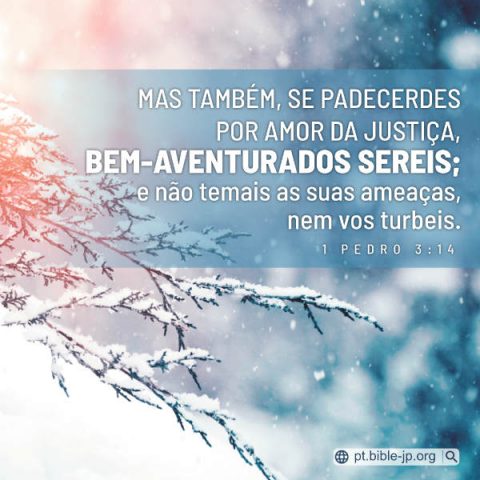1 Pedro 3:14 Comentado por Versículo