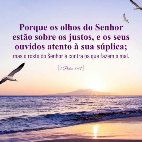 (1 Pedro 3:12) Porque os olhos do Senhor estão sobre os justos, e os seus ouvidos atento à sua súplica; mas o rosto do Senhor é contra os que fazem o mal.
