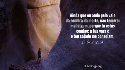 versículo de conforto - Ainda que eu ande pelo vale da sombra da morte, não temerei mal algum, porque tu estás comigo; a tua vara e o teu cajado me consolam. Preparas uma mesa perante mim na presença dos meus inimigos; unges com óleo a minha cabeça, o meu cálice transborda. Salmos 23:4-5