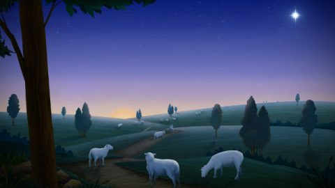 Conheça a mais nova obra de Deus e siga os Seus passos